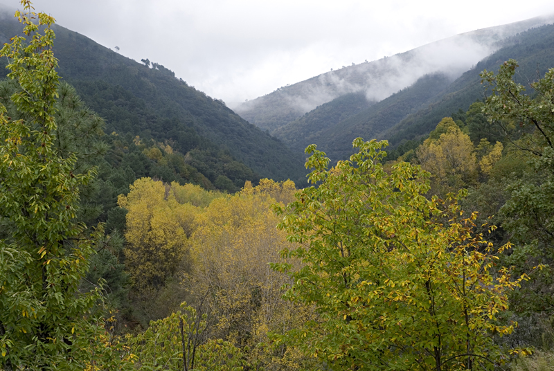 Nacimiento del río Árrago Nacimiento del río Árrago