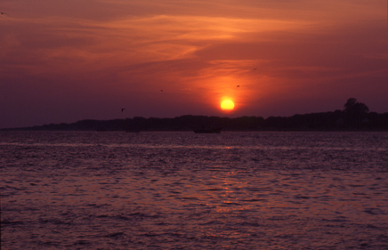 Las Marisamas del Guadalquivir null