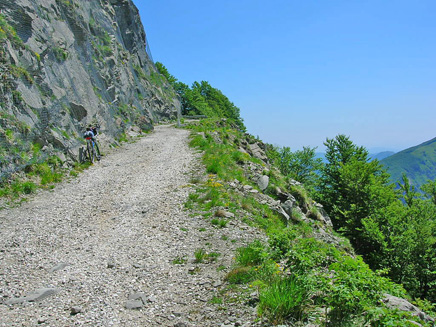 Camino del puerto null