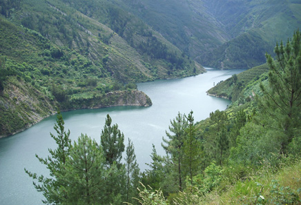 Rio Navia null