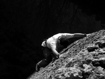 Tocho del rio null