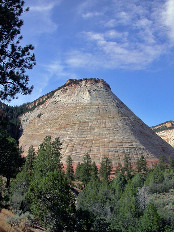 Dunas fosilizadas. Zion N.P. Utah null