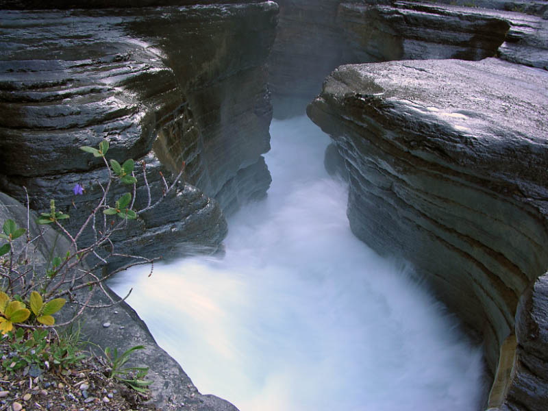 Mistaya canyon en Jasper NP