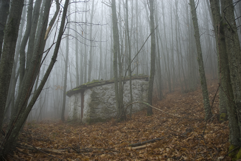 Casa del Bosque bosques-del-alto-ambroz
