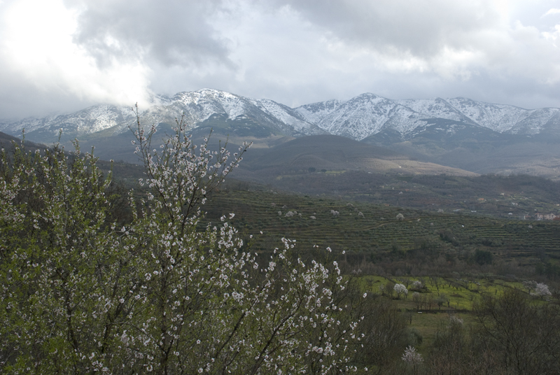 Valle del Ambroz valle-del-ambroz