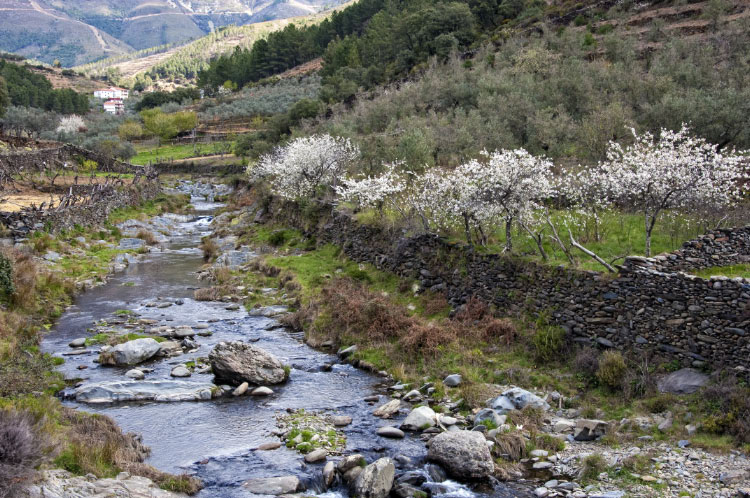 Río Esparabán Río Esparabán