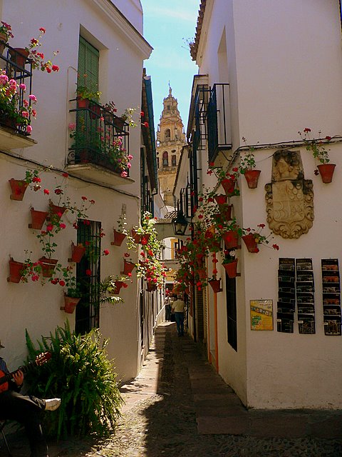 Calleja típica cordobesa Calleja típica cordobesa