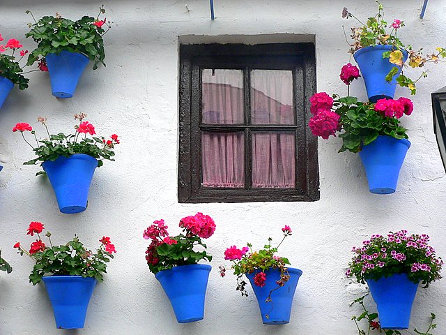 Patio Cordobés Patio Cordobés