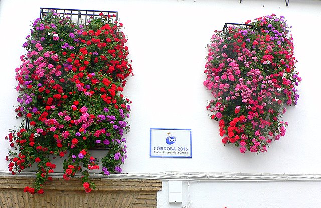 Rejas Rejas