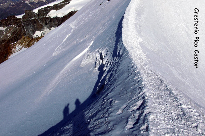 Alpes (Cresterio Castor)