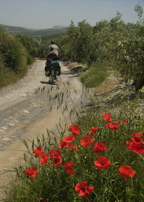 Ruta del Califato Ruta del Califato