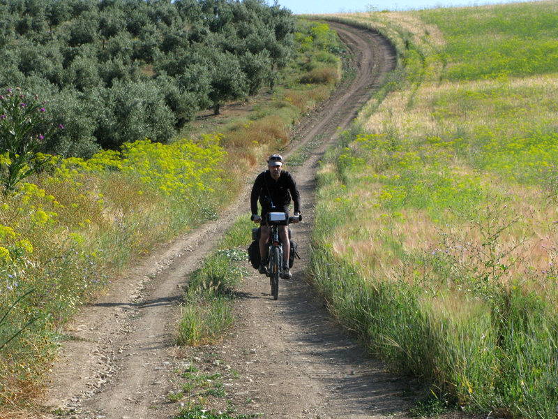 Ruta del Califato Ruta del Califato