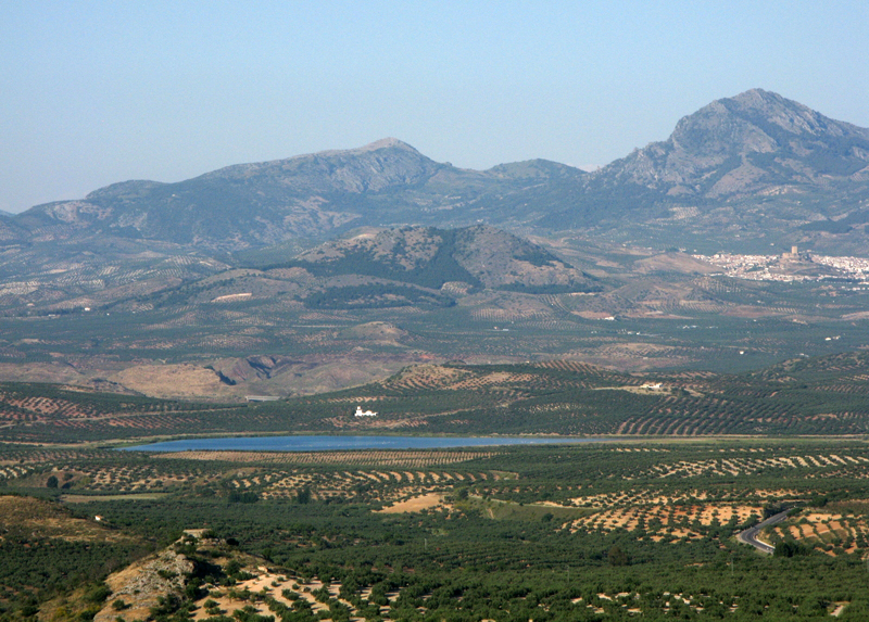 Ruta del Califato Ruta del Califato