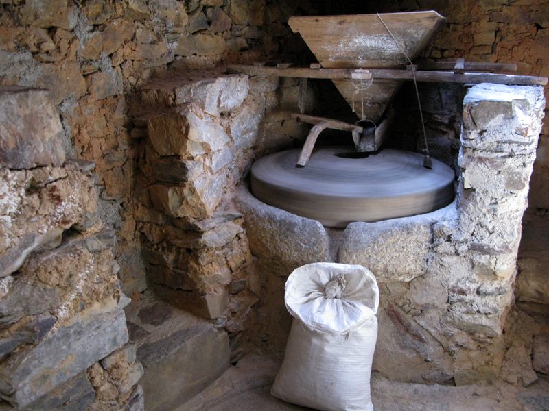 Molino Molino