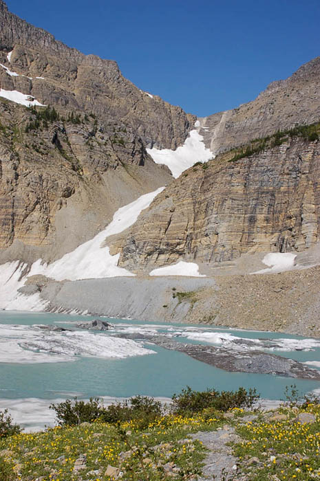 Glaciers Grinnell