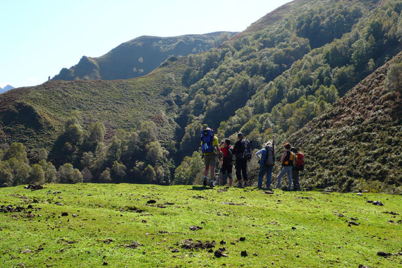 Collado