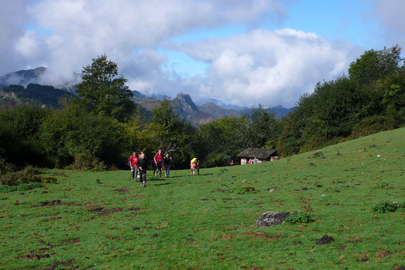 los prados astures