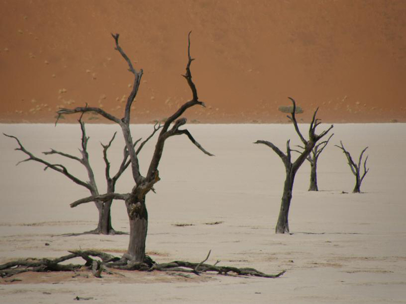 Namibia en Sossusvlei