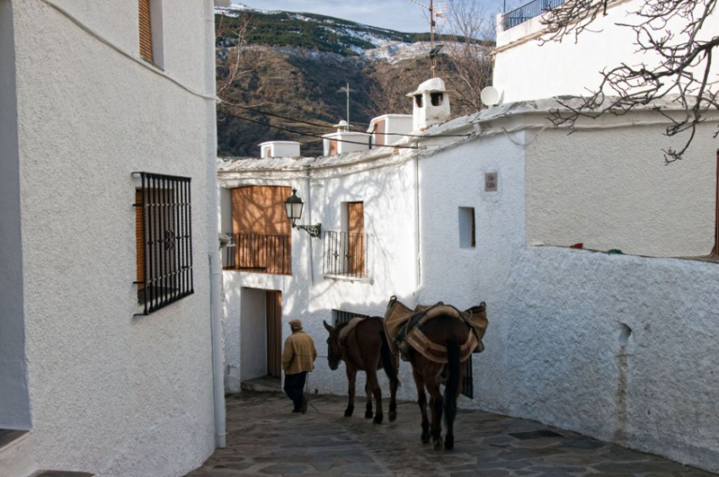 Capileira Capileira