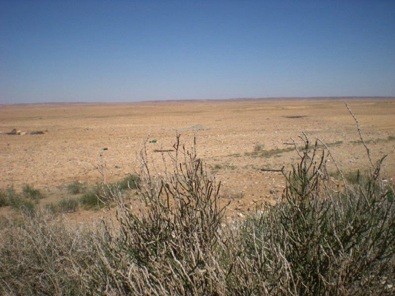  Desierto