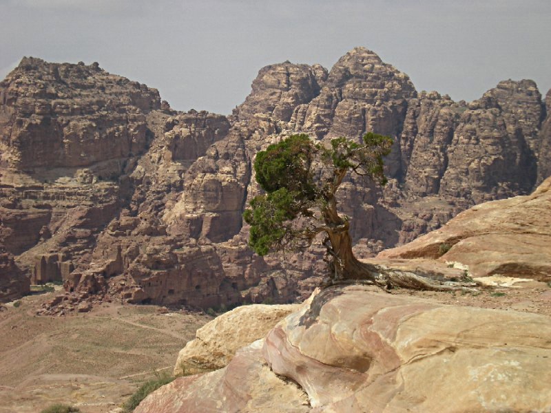 Jabal al Jarun. Petra Jabal al Jarun. Petra