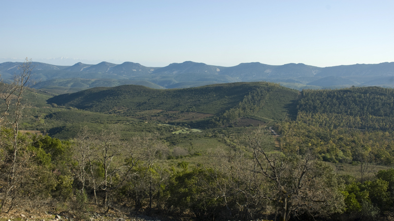 Sierra de Altamira
