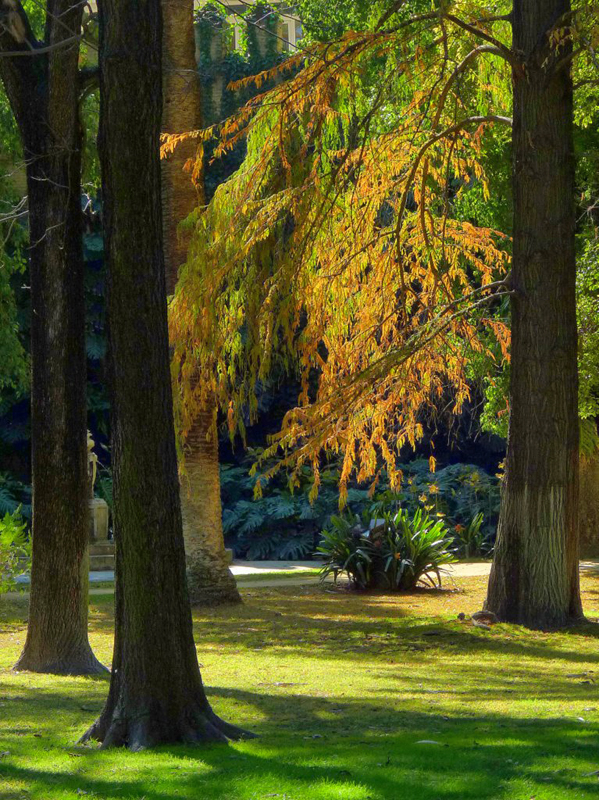Parque de María Luisa