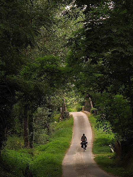 Bosque de Damazan