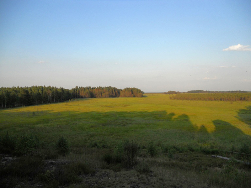 Cepkelių Rezervatas. Lituania