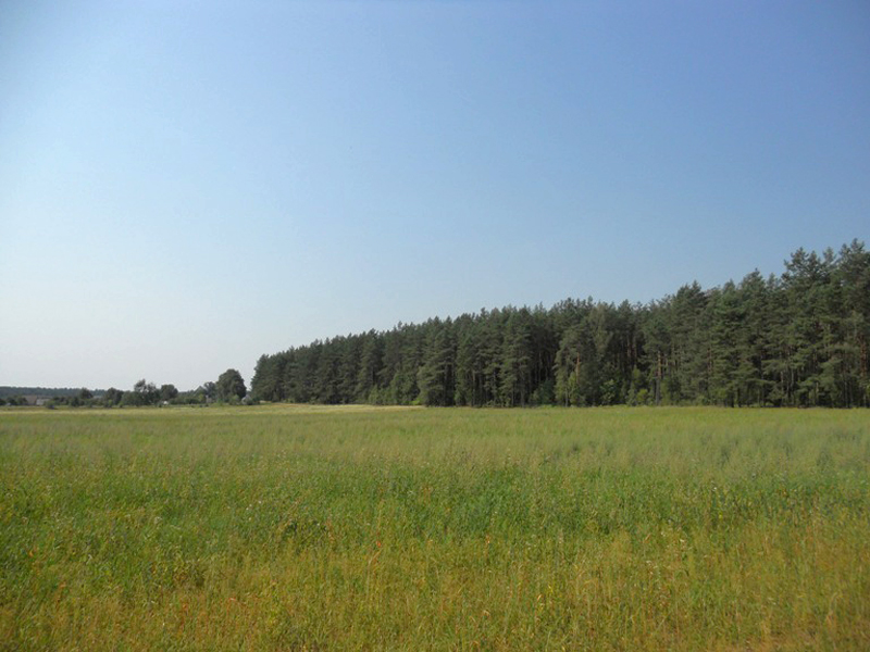 Rūdiškės. Lituania