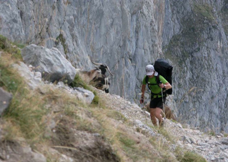 Picos de Europa