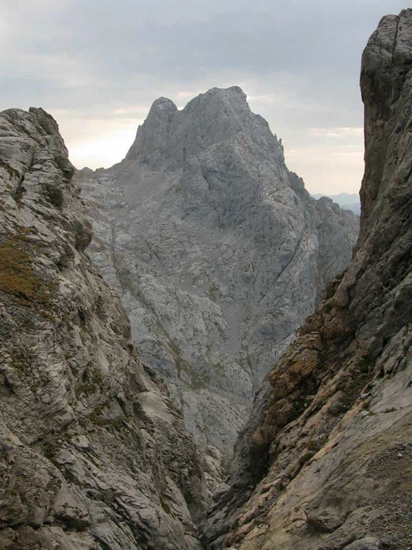 Picos de Europa
