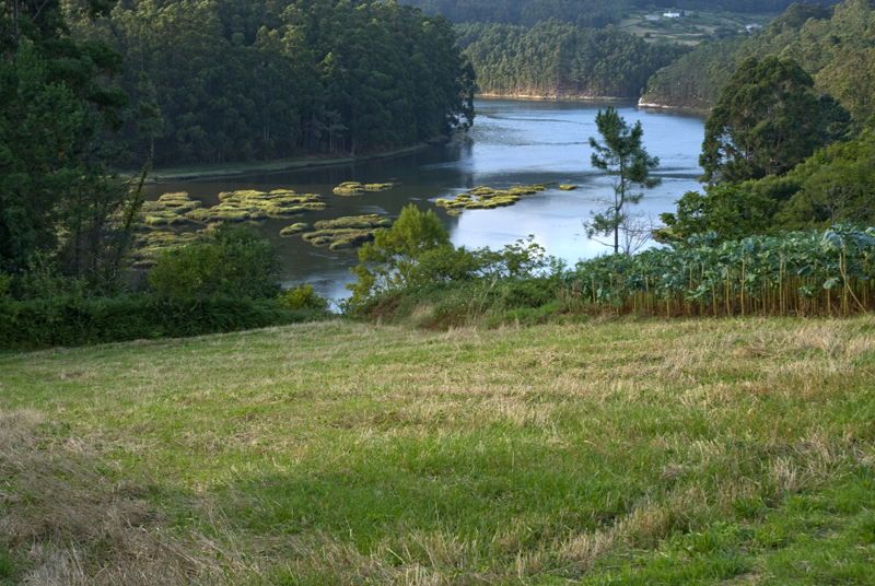 Río Sor