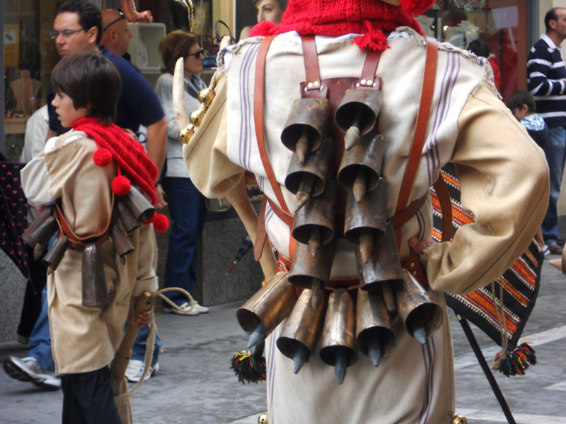 Los Cencerros de Palacios del Pan, Zamora