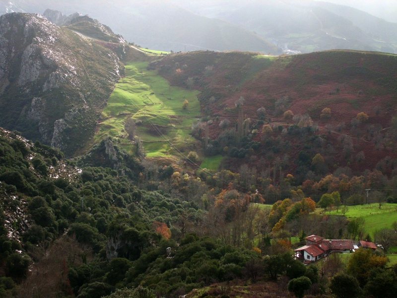 VISTA CABAÑES
