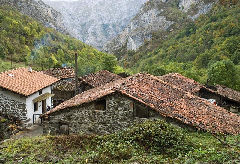 Víboli