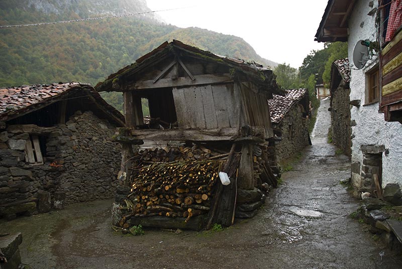 Víboli