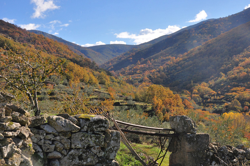 Valle del Ambroz