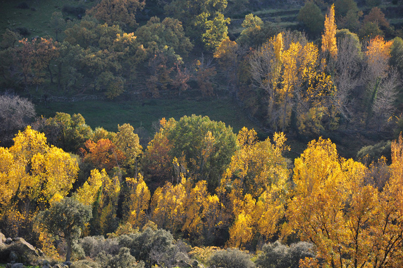 Valle del Ambroz