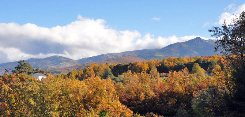 Valle del Ambroz