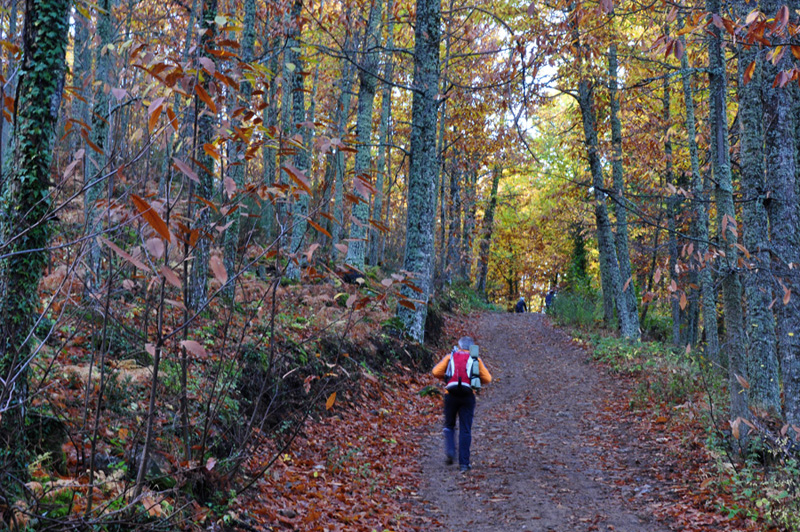 Valle del Ambroz