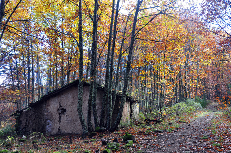 Valle del Ambroz
