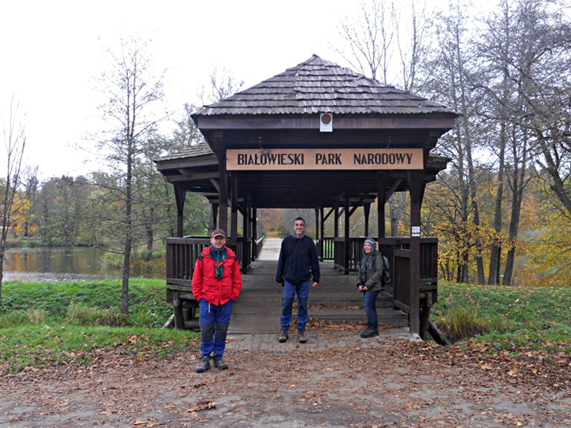 Białowieski Park Narodowy. Podlasie (Polonia)