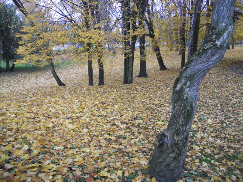 Park Pałacowy. Pałac Branickich. Białystok. Podlasie (Polonia)