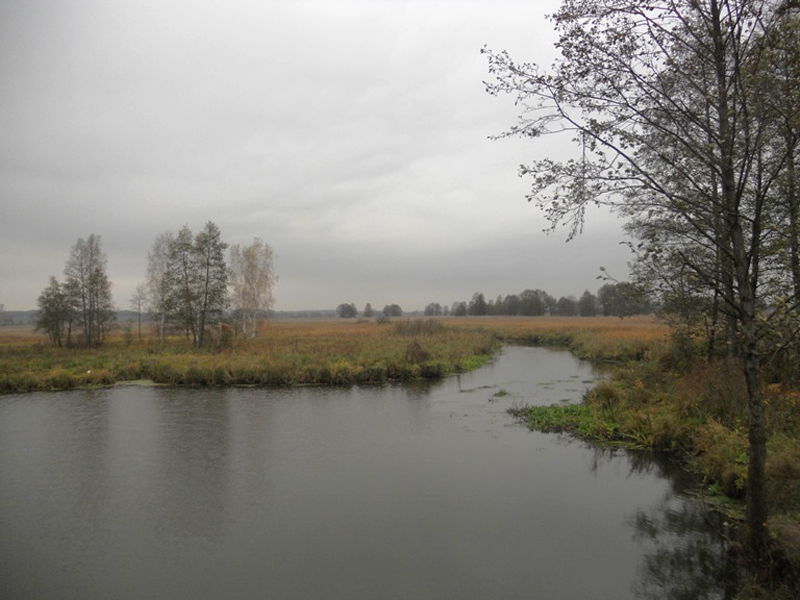 Narwiański Park Narodowy. Podlasie (Polonia)