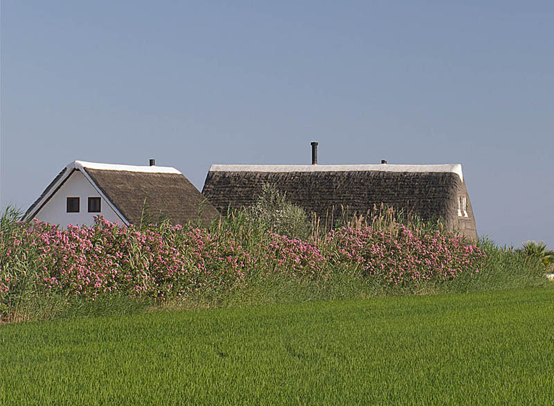 Barraca. Delta del Ebro