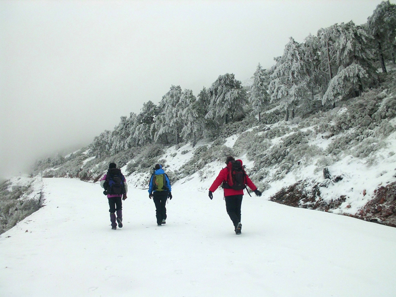 Sierra de Francia