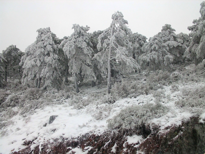 Sierra de Francia
