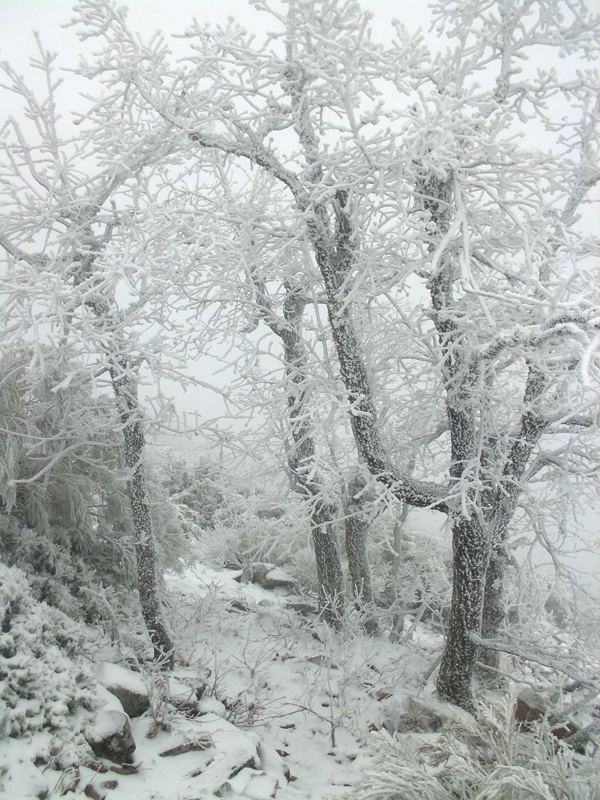 Sierra de Francia