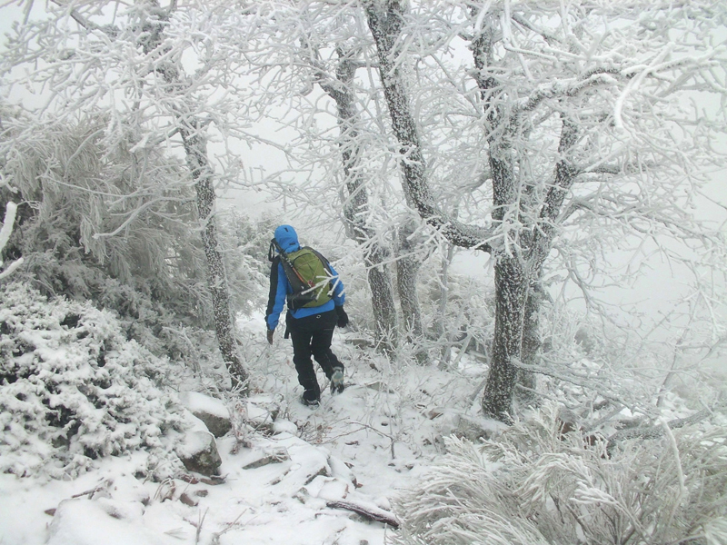 Sierra de Francia